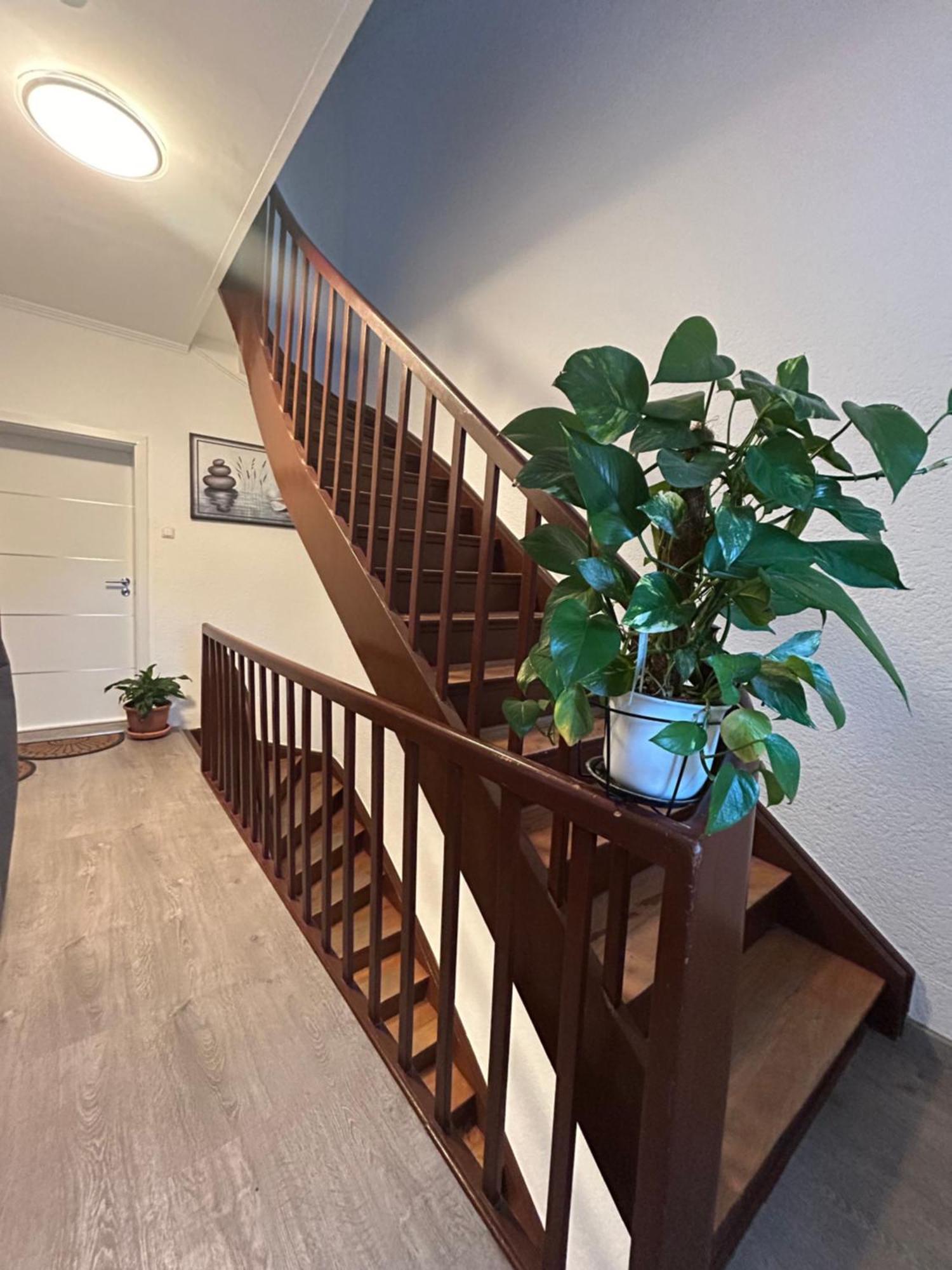 Ferienwohnung In Gerolstein Zentrum Eksteriør billede