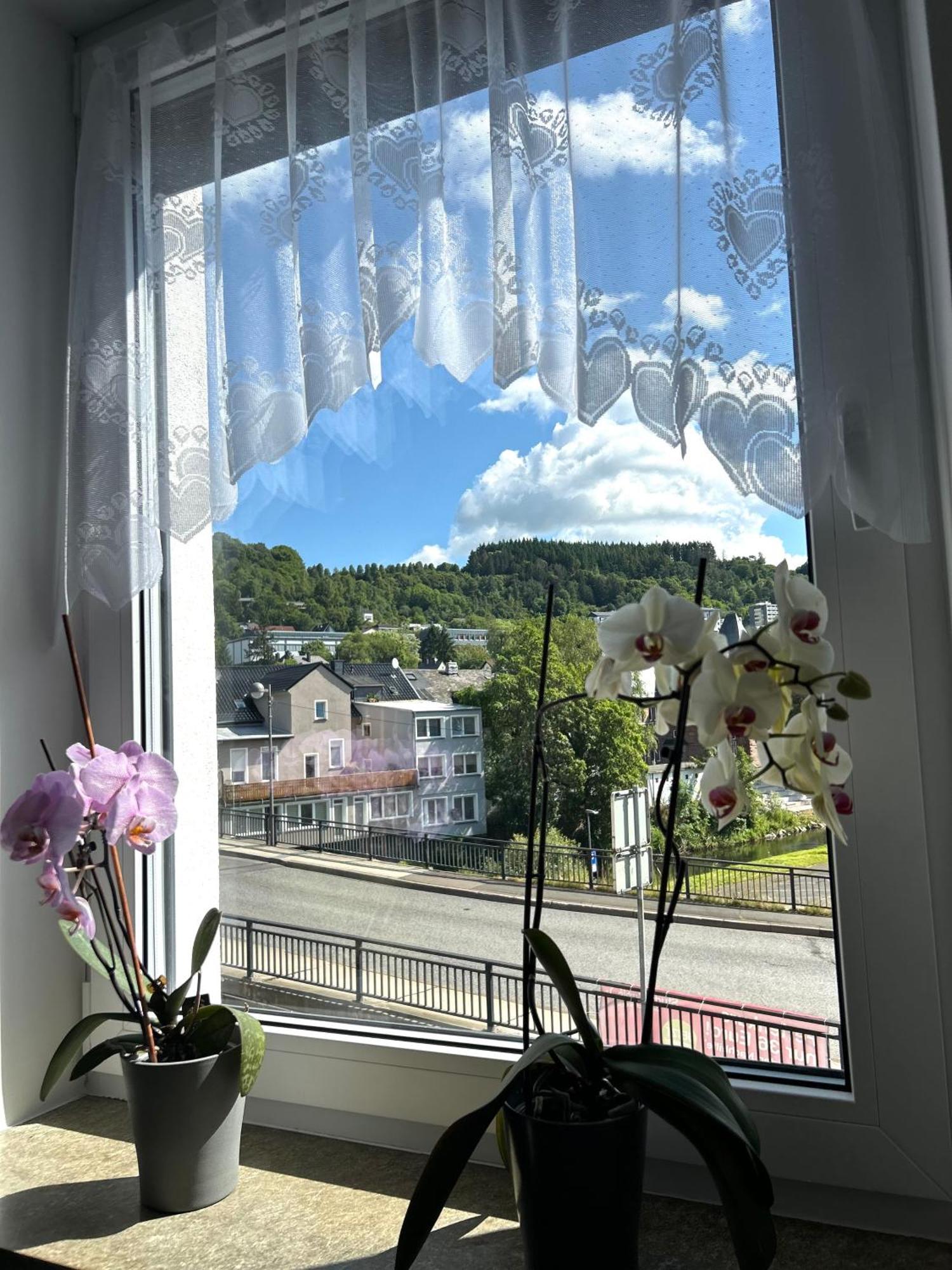 Ferienwohnung In Gerolstein Zentrum Eksteriør billede